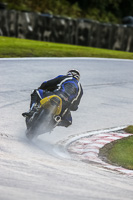 PJ-Motorsport-Photography-2020;anglesey;brands-hatch;cadwell-park;croft;donington-park;enduro-digital-images;event-digital-images;eventdigitalimages;mallory;no-limits;oulton-park;peter-wileman-photography;racing-digital-images;silverstone;snetterton;trackday-digital-images;trackday-photos;vmcc-banbury-run;welsh-2-day-enduro